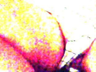 Bbw thick legs n cutey feet