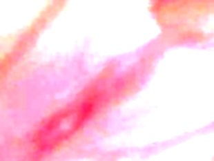 Cheles plump pussy squirts wide open