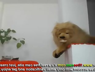 Twitcam cam da alinn