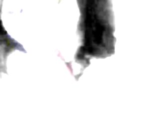 Bbw sucking her dildo