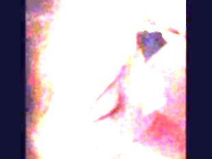 Daddies girl sucks cock