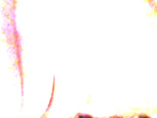 Fucking