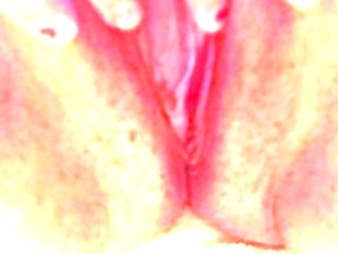 Bbw bree fucks herself with cyberskin dildo