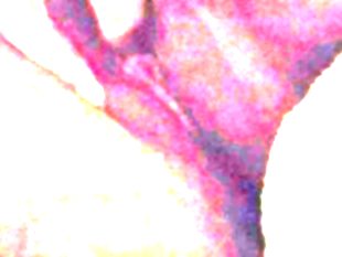 Quickie play with multiple squirts